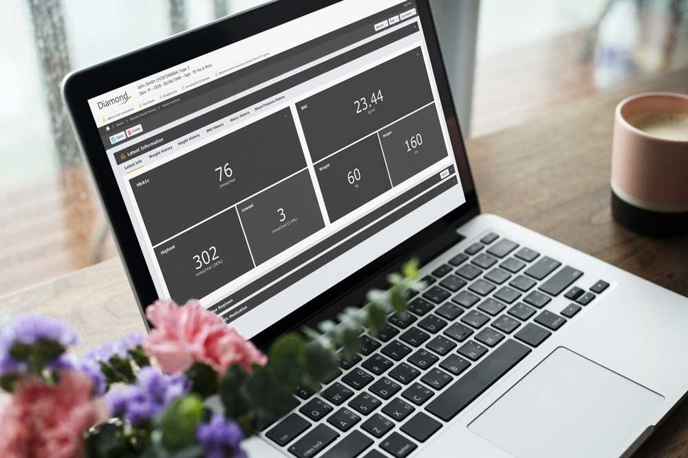 Person using Laptop displaying Diamond's Patient Summary